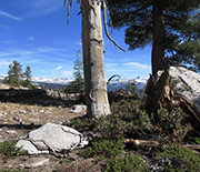 The Southern Sierra CZO was also a research site in the study.